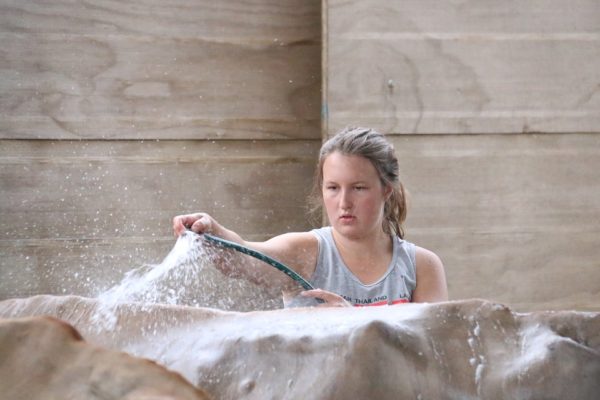 HURACLEAN Farmer C PiP